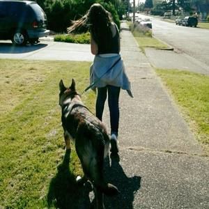 Meet your Posher, Daisy